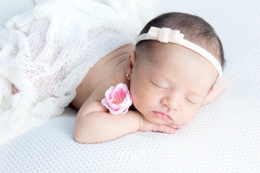 Laço Laura Mini Veludo na Faixinha